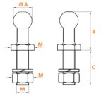 Fixed Ball Points